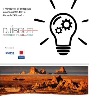 Premier anniversaire du Cluster Territoire d’innovation de Djibouti